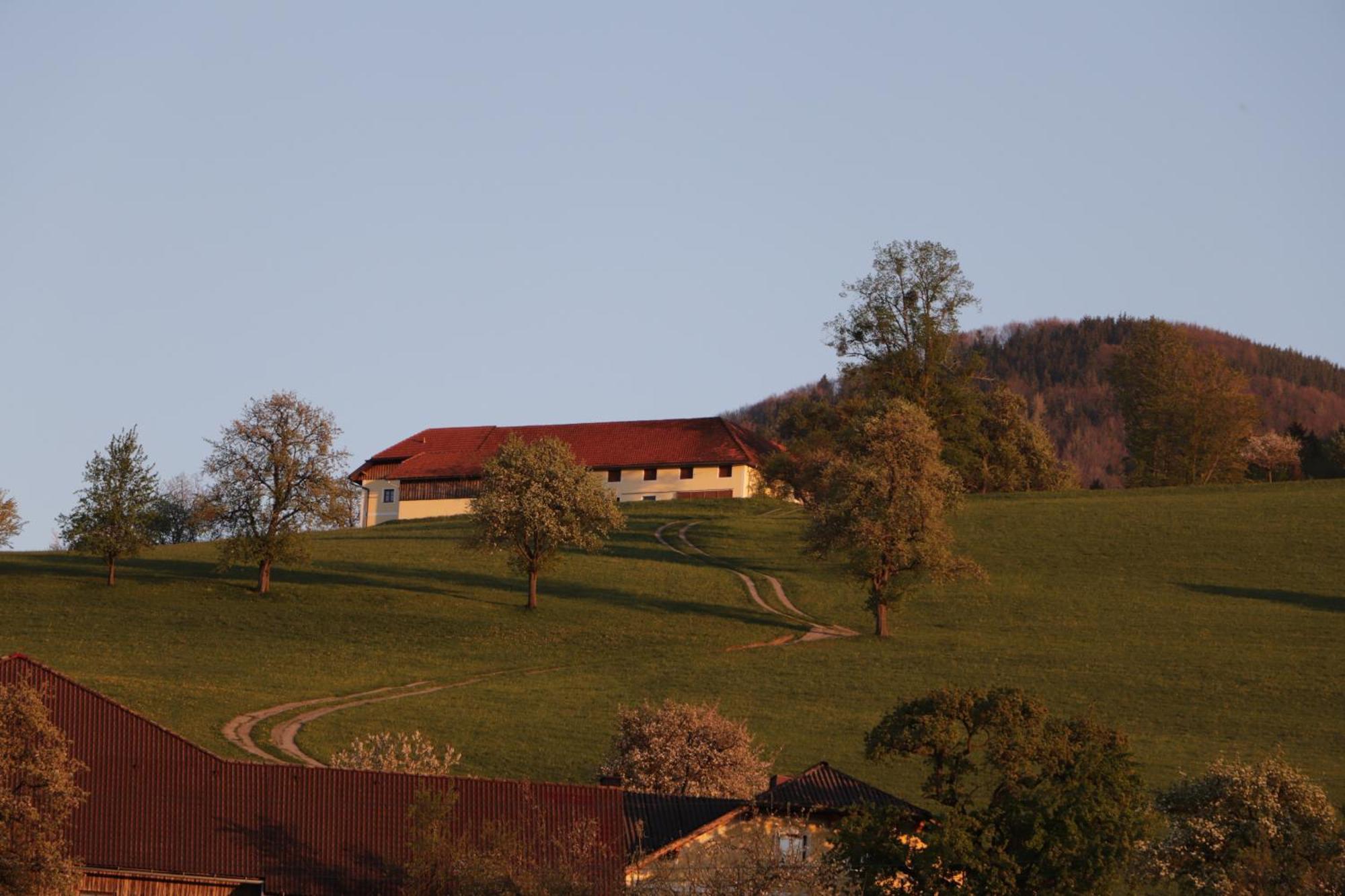 Unterbrandlberg * Steinbach an der Steyr